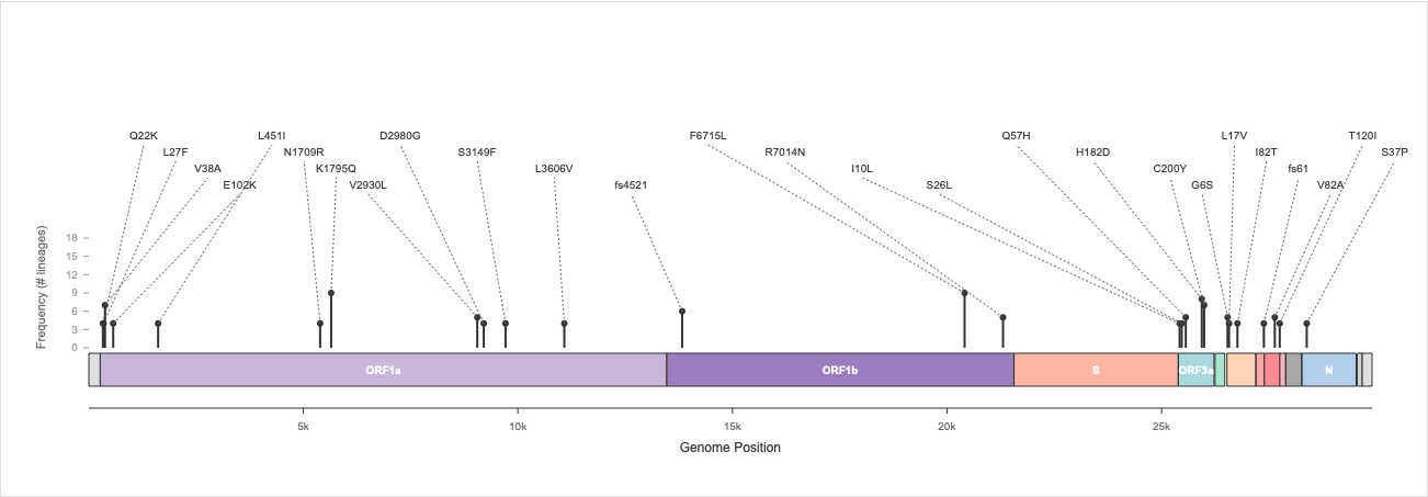 Non-Spike Mutations